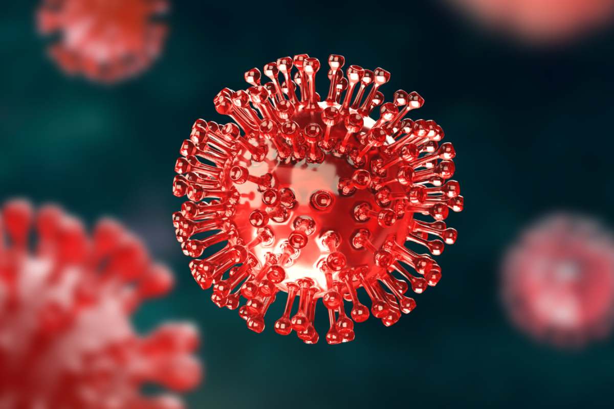 modello del coronavirus